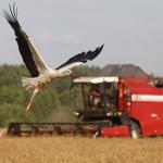 Минсельхоз разработает меры по развитию АПК в центральных регионах России