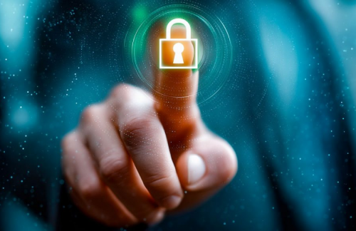 Семяныч сливает секреты защиты персональных данных в интернете